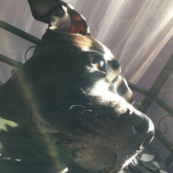 Meet your Posher, Amanda - Picture 1 of 1